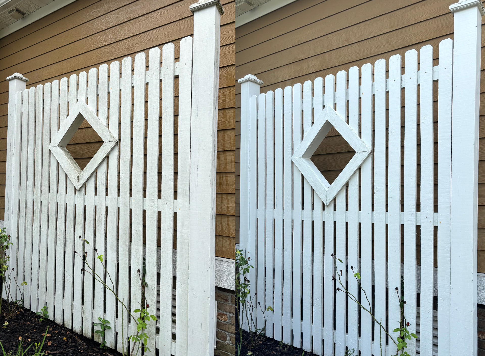 White PVC fence before and after — green algae gunk vs. bright clean white